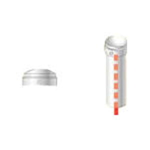 ACR@PǗppCvWCg@[Lbv@@HKF1C