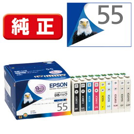 エプソン　EPSON　インクカートリッジ（9色セット）　IC9CL55