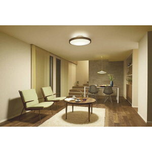 ����d�@�@LED�Ԑڌ��V�[�����O���C�g�@DXL-81382