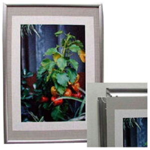 \tP@Npl A3 Vo[@NplA3