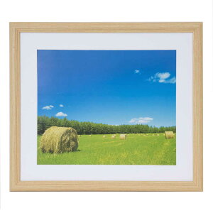 tWJ[@ؐz YM-3(4/ؒn AN)@YM3