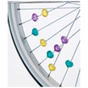 uaXg@X|[NANZT[@SP-EM