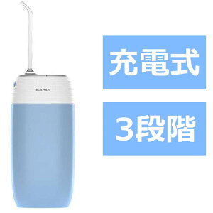 �E�F���r�[�C���O�e�N�m���W�[�@ROAMAN �E�H�[�^�[�t���X mini1 �u���[�@MINI1B