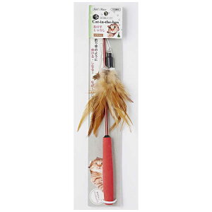 �y�e�B�I�@Cat-in-the-box �ފƂ���炵 �u���E��