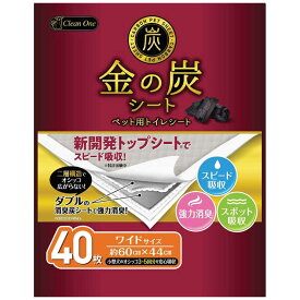 シーズイシハラ　金の炭シートワイド40枚