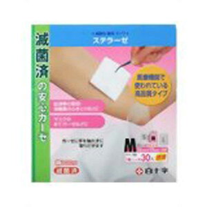 \@FC(t@~[PA)Xe[[M 30kсEK[[Ȃǁl