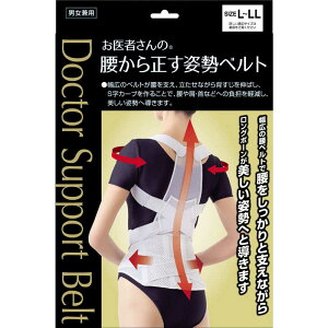 At@bNX@҂̍琳pxg L-LL