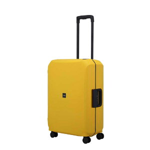 LOJEL@X[cP[X VOJA [NCG[ [TSAbN /66L /5`1T]@Voja-M-Yolk Yellow