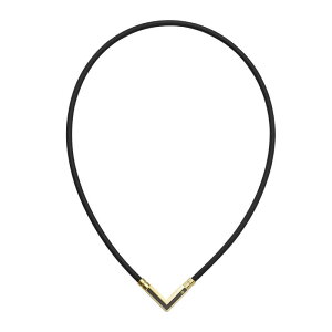 Rgbe@Rgbe TAO lbNX  VEGA NEXT(NVbNS[h LTCY)@ABARK52L