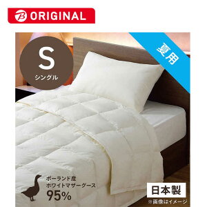 эH[@|HѕzcтӂƂ PM480-B2 VO(150×210cm) ėp zCg}U[O[X_E95%