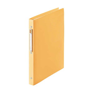 ���q�g���u�@noie-style �N�����[�u�b�N������ S�^ 10P �I�����W [A4 255mm×25mm×314mm]�@N-7682