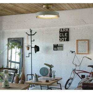 d@@LEDƖ V[OCg 12  F Rt X[NO[@DXL-81421