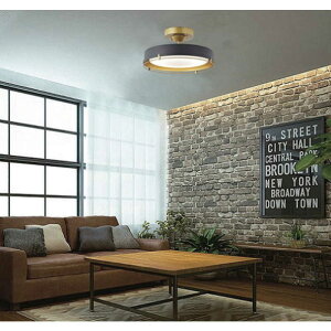 d@@LEDƖ V[OCg 12  F Rt ubN@DXL-81430