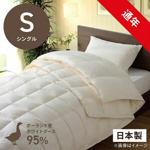 эH[@izCgO[X_E95 ()ӂƂ PR-410AB2(2킹m|+|n/VOTCY/150×210cm)yHѕzcz@PR-410-AB2