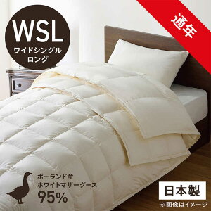 эH[@izCg}U[O[X_E95 ()ӂƂ PM-510AB2(2킹m|+|n/ChVOO/170×230cm)yHѕzcz