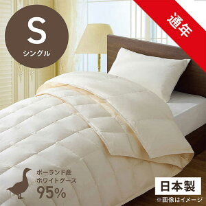 эH[@izCgO[X_E95 ()ӂƂ PR-310AB2(2킹m|+|n/VOTCY/150×210cm/i`)yHѕzcz@PR-310-AB2