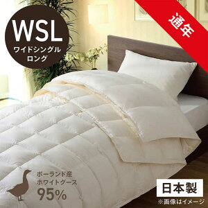 эH[@izCgO[X_E95 ()ӂƂ PR-410AB2(2킹m|+|n/ChVOO/170×230cm)yHѕzcz