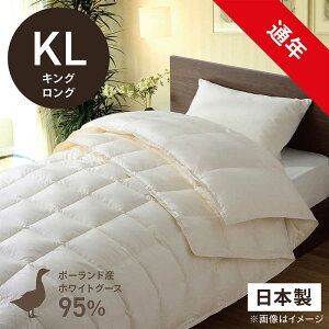 эH[@izCgO[X_E95 ()ӂƂ PR-410AB2(2킹m|+|n/LOOTCY/230×230cm)yHѕzcz