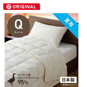 эH[@|HѕzcтӂƂ PM480-B2 NB[(210×210cm) ėp |[hYzCg}U[O[X_E95 {