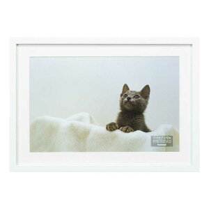 iJoV@ؐʐ^z ChZcؔ@FSW113W