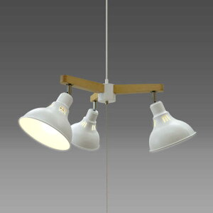 Z@LEDƖ y_gCg 4.5 dF 3 LEDdt URBAN STYLE zCg@GL3065CHWH