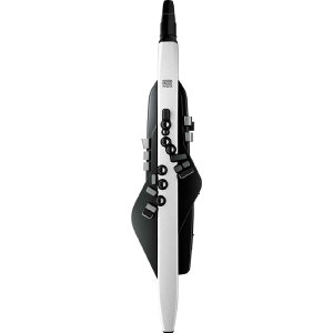 [h@Roland@dqǊy Aerophone(GAtH) Roland @AE-20