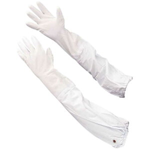 V[O[u@No240rJo[t LTCY zCg@NO240LW_