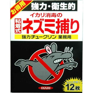 CJŁ@CJ ̓`[NƖp 12@CJ205617_