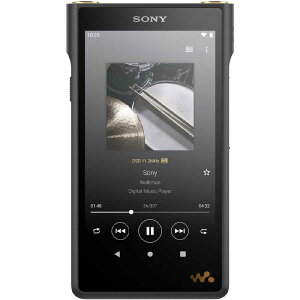 \j[@SONY@EH[N}WM1V[Y ubN [nC]Ή/128GB]@NW-WM1AM2