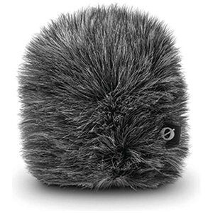 RODE@rfI}CN S[ IIpEChV[h@WS12