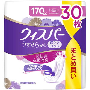 PG@EBXp[ S ԁEłSp 170cc×30