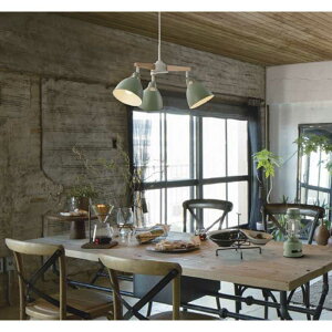 d@@LEDƖ y_gCg dF 3 dt X[NO[@DXL-81427