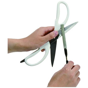 p[@t@CPA _ChXeBbNV[vi[tbg^@CC1517