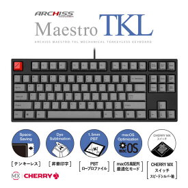 ARCHISS アーキス　Maestro TKL(CHERRY MX スピードシルバー軸・Windows11 macOS対応) メカニカル テンキーレス 英語配列 87キー [有線 USB]　ASKBM87LSGB