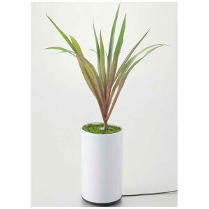 CVO@O[fBt[U[ ^CvA g@70090