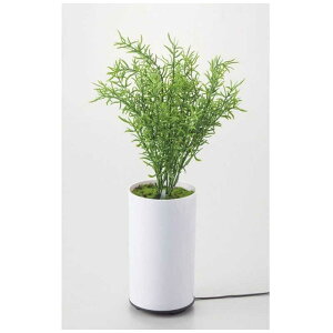 CVO@O[fBt[U[ ^CvB g@70091