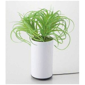 CVO@O[fBt[U[ ^CvC g@70092