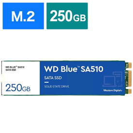 WESTERN DIGITAL　WD Blue SA510 SATA M.2 SSD｢バルク品｣　WDS250G3B0B