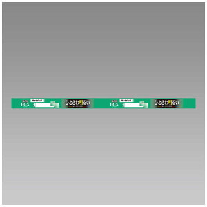 z^NX@3g`ǌuv ЂƂ햾邢RȌ [F]@FL15EX-N-X2