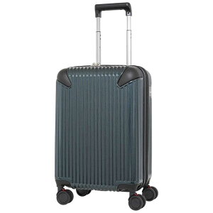 SPALDING�@�T�X�y���V�����t�� �L�����[�P�[�X S�T�C�Y �O���[���J�[�{�� [TSA���b�N���� /��38L /2���`3��]�@SP083649GNC