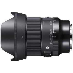�V�O�}�@�J���������Y (���C�JSL/TL�p)�@Art 24mm F1.4 DG DN