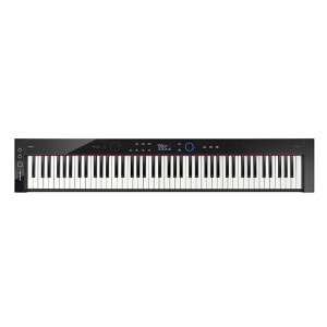 JVI@CASIO@dqsAm PriviaivBAjubN [88]@PX-S7000BK