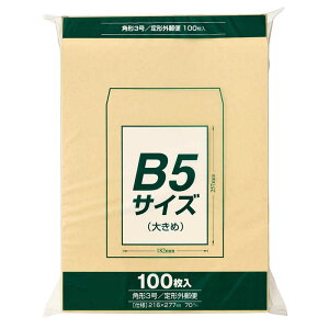 }AC@[] Ntg p`3 B5TCY傫 100@PKZ137