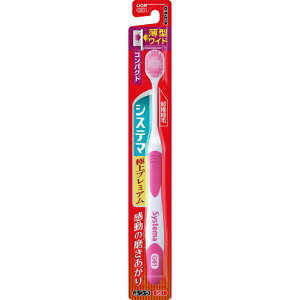 LION@VXe} nuV ɏv~A RpNg ӂ