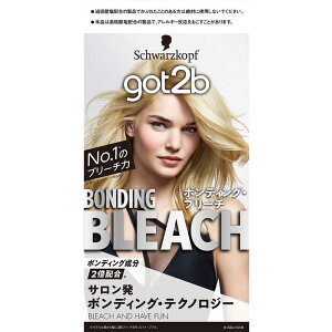 �V�������c�R�t�w���P���@got2b(�S�b�g�D�[�r�[) �{���f�B���O�E�u���[�`