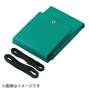 �g���X�R���R�@�g���b�N�V�[�g�� 4t�p ��4600mmX����6.0m �΁@TS4TA