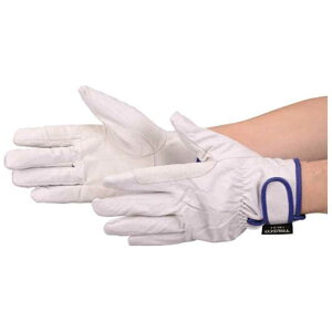 gXRR@}WbNhؖ{v ĕt^Cv MTCY@TWLGM