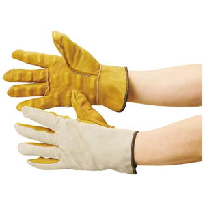 gXRR@ƗphUS t[TCY@JKSL