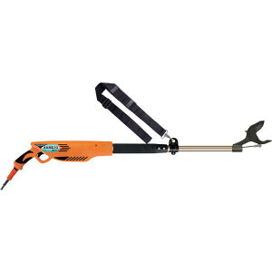 jVKLHƁ@jVKLۏ[dv1000(obe[E[dt) @N931