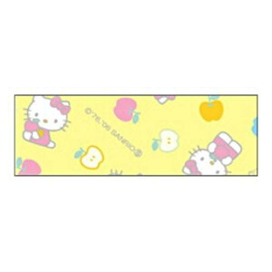 JVI@CASIO@TILN^[e[v n[LeBE NAME LAND(l[h)@XR18SS1